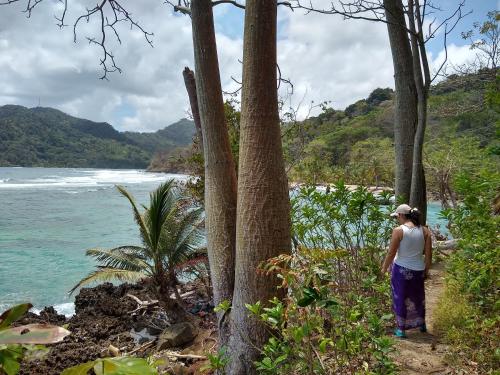 a woman standing on a trail looking at the ocean at Cafe del Mar Sapzurro in Sapzurro