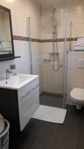 a bathroom with a shower and a sink and a toilet at Ferienwohnung Ida in Traben-Trarbach