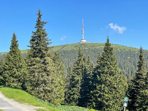 a cross on top of a hill with trees at Apartmány MAX in Vaclavov u Bruntalu