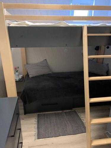 a bedroom with a bunk bed with a ladder at Skier's cave in Kranjska Gora