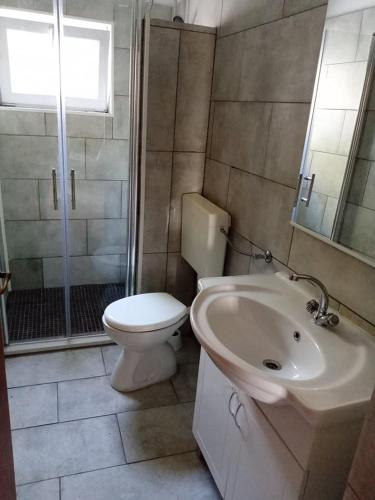a bathroom with a toilet and a sink and a shower at Apartmani Lovre Posedarje in Posedarje