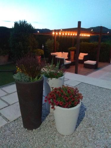 trois plantes en pot assises au-dessus d'un patio dans l'établissement Lobeal, à Auriol