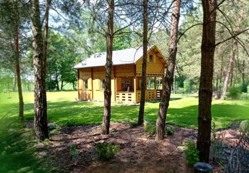 Klimatyzowany Domek z Sauną w lesie z posesją na wyłączność Mazury Prażmowo