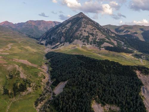 an aerial view of a mountain with trees at Casa Rural Borda Marianet in Cerler
