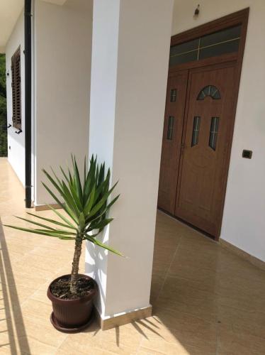 Fotografie z fotogalerie ubytování Fabio Apartments Gjiri i Lalzit v destinaci Durrës