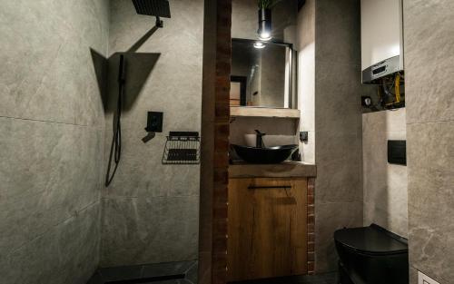 a bathroom with a sink and a toilet and a mirror at Apartament SPOKOLOKO Wiślańska Złoty B1 in Szczyrk