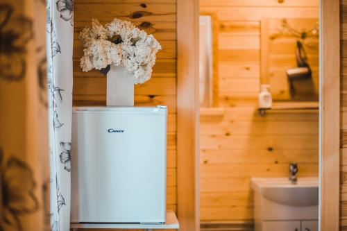 a bathroom with a vase of flowers on top of a refrigerator at Kroņkalniņi in Lapmežciems