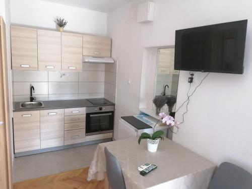 Kuchyňa alebo kuchynka v ubytovaní Studio apartman Promona