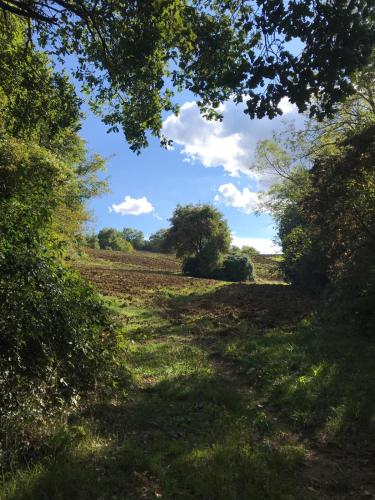 Umbria Camp – Photos 3