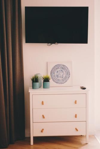 a tv on top of a dresser with plants on it at BOOGIE Home Kamienica Łódzka in Łódź