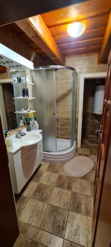 a bathroom with a shower and a sink at Dukla Ranč in Nižný Komárnik