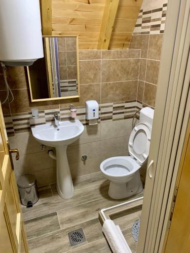 a bathroom with a toilet and a sink at B&B Izvor in Žabljak