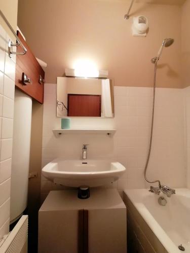 une salle de bain avec un lavabo et une baignoire dans l'établissement Impasse des Rhododendrons, Résidence 