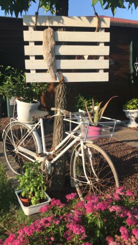 a white bike parked next to a sign and flowers at Villa Margherita in Montaquila