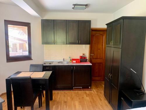 Dapur atau dapur kecil di Vila Darija Zlatar - studio apartman br. 2