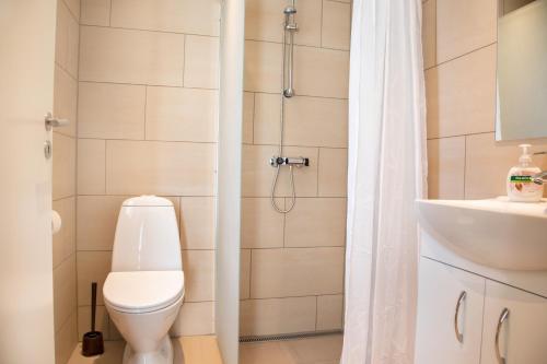 uma casa de banho com um chuveiro, um WC e um lavatório. em Feriebyens Bed & Breakfast em Rødvig