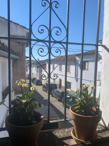 twee potplanten op een vensterbank met uitzicht op een straat bij El estudio - beautiful apartment in historic old town in Jimena de la Frontera