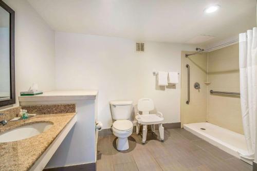 a bathroom with a toilet and a sink and a shower at Quality Inn & Suites York East in York