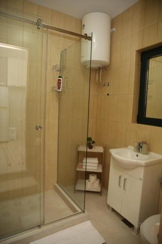 een badkamer met een douche en een wastafel bij Apartmani Dijana 2 in Kotor
