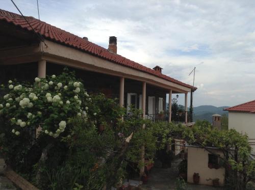 a house with a bunch of bushes in front of it at Guesthouse Lamprini in Neochori