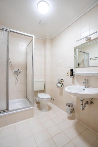a bathroom with a toilet and a shower and a sink at Mühlengarten by Relax Inn - Staffless & Self Check-In in Nittel