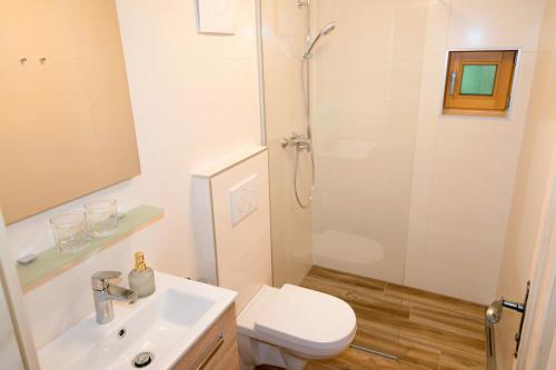 a bathroom with a shower and a toilet and a sink at Kellerstöckl Gaaserberg in Gaas