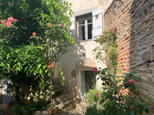 Κήπος έξω από το GITE Home Bacchus