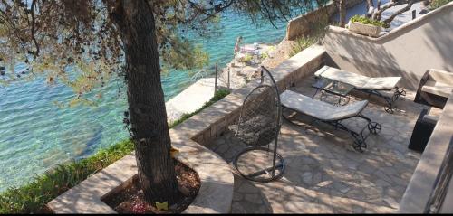 un banco sentado junto a un árbol junto al agua en Adriatic Queen, en Gdinj