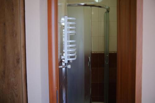 um chuveiro com uma porta de vidro na casa de banho em Дідів Рай em Volovets