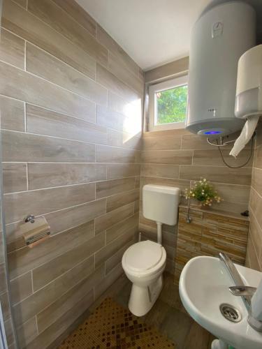 a bathroom with a toilet and a sink at Matyas Vendeghaz in Sovata
