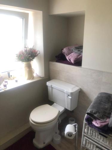 a bathroom with a toilet and a sink and a window at Saltcotes Farm in Ulverston