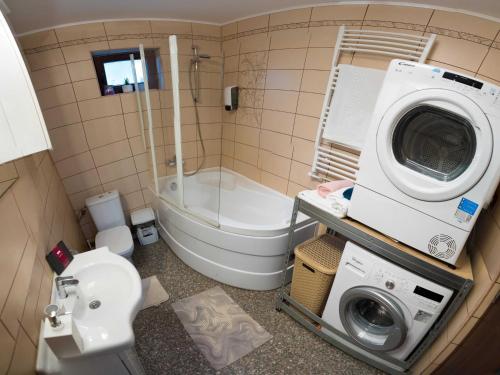 een badkamer met een wasmachine en een toilet bij Erika's Holiday Cottage in Periş