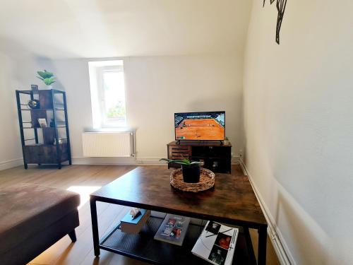 a living room with a coffee table and a television at L'industriel, spacieux T2 refait à neuf in Dardilly