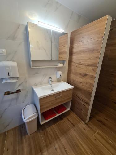 イリルスカ・ビストリツァにあるDomačija Bubecのバスルーム(洗面台、鏡付)