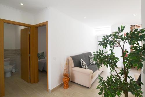 uma sala de estar com um sofá e uma planta em Casa Dom Carlos em Ferragudo