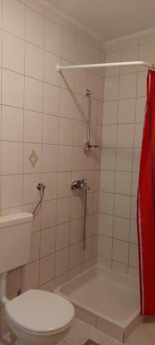 ein Badezimmer mit Toilette, Waschbecken und Dusche in der Unterkunft Danijel in Sveti Juraj