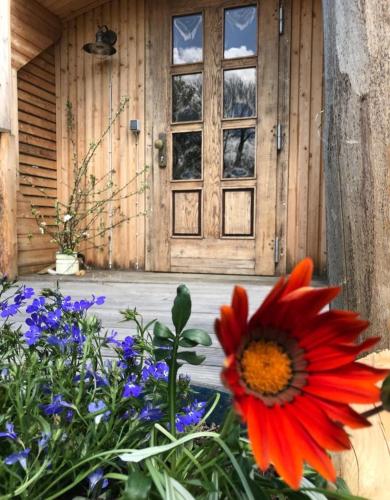 a red flower in front of a wooden door at Der Zirkuswagen und das Elfenhaus in Dittmannsdorf