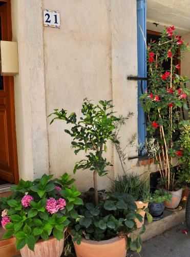 Κήπος έξω από το Loft Apartment , La Terrasse Centre Ville d'Arles,