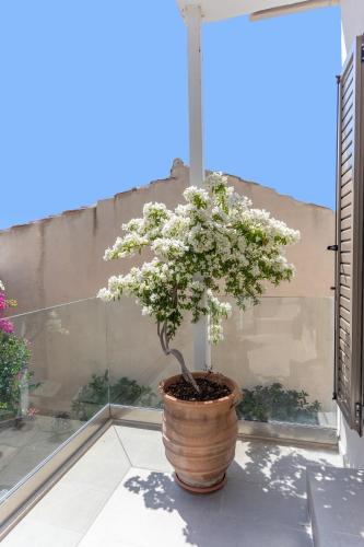 Galería fotográfica de Casa Sofia Apt#2, By Hellocrete en Spílion
