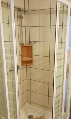 a shower with a glass door in a bathroom at Apartman Darko in Cesarica