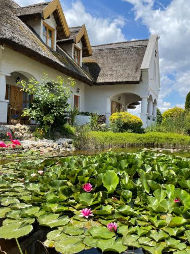 Rigótanya Relax & Wellness Panzió Bükfürdő 9737 Bük, Kossuth 110. kép - 3