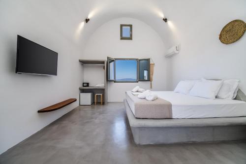 Μια τηλεόραση ή/και κέντρο ψυχαγωγίας στο Amethyst Luxury Suites Oia