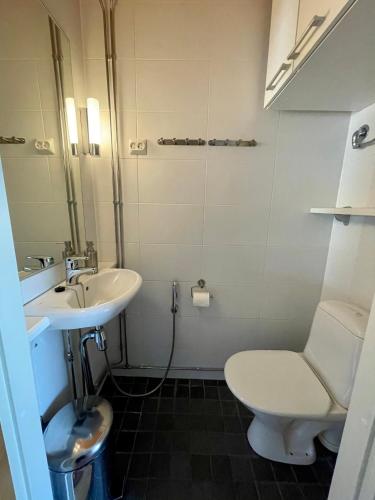 a bathroom with a toilet and a sink at Salomon Chalet 7207 - Parivuoteellinen makuuhuone ja lisäksi makuualkovi - Täydellinen pariskunnille ja perheille in Ylläsjärvi