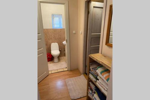 La petite salle de bains est pourvue de toilettes et d'un miroir. dans l'établissement Võru Villa, saun, grill, jalgrattad, ideaalne perepuhkus!, à Võru