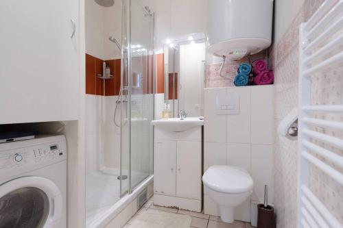 La salle de bains est pourvue d'une douche, de toilettes et d'un lavabo. dans l'établissement Paris Saint Michel Sorbonne, à Paris