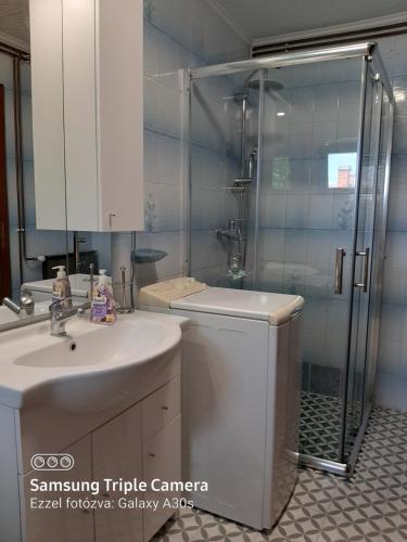 バラトンベレーニにあるTilesch Apartmentのバスルーム(洗面台、ガラス張りのシャワー付)