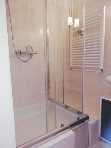 a shower with a glass door in a bathroom at Bungalow in strandnähe in Mönkebude