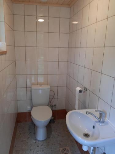 a bathroom with a toilet and a sink at Kipi-Koovi Matkakeskuse väiksem majake in Kipi