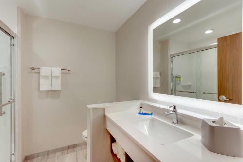 Bathroom sa Holiday Inn Express & Suites - Winston - Salem SW - Clemmons, an IHG Hotel