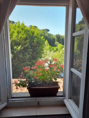 a window with a potted plant on a window sill at Gli Ulivi Bed & breakfast in Fosdinovo